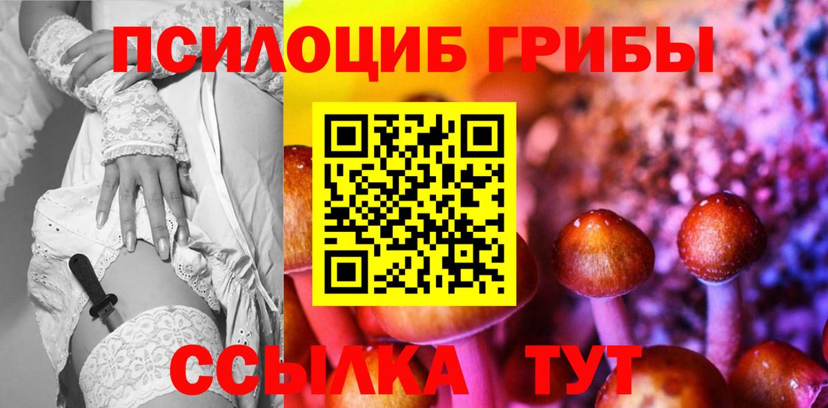 Партизанск  Галлюциногенные грибы Psilocybe  Галлюциногенные грибы GOLDEN TEACHER  Вход с VPN 