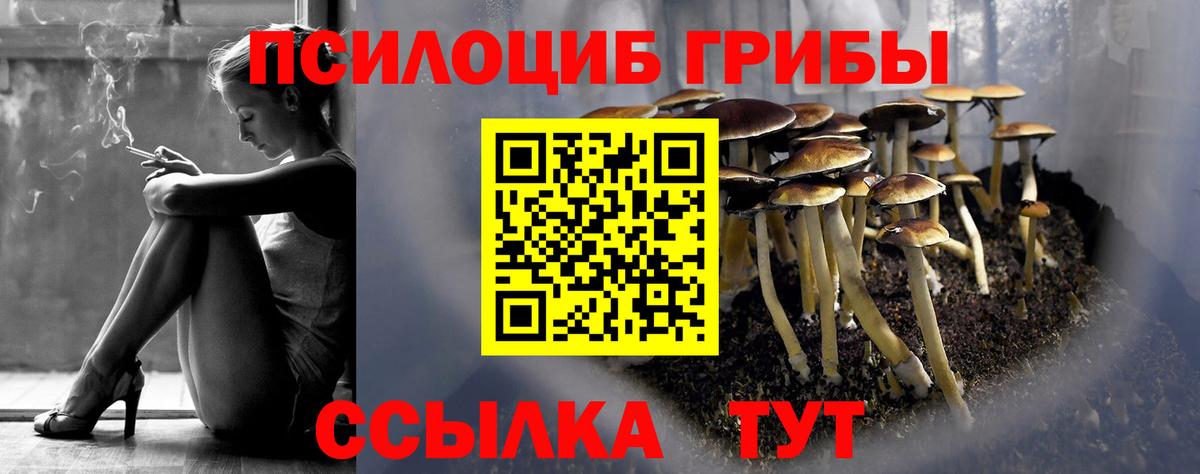 A PVP Партизанск